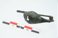 Foto von Bronzekahnfibel (NHMW-PRAE-024655)